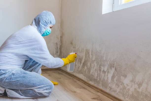 Mold Remediation specialist working in Lincroft