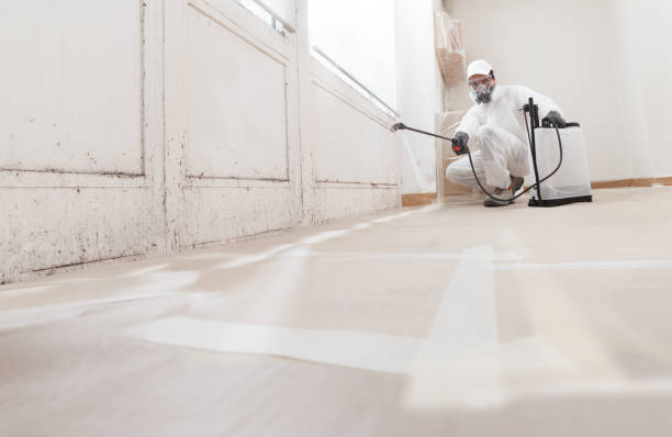 Black mold remediation team in Lincroft